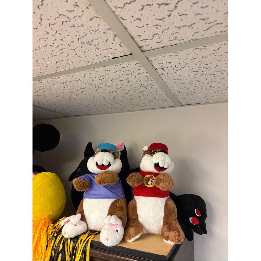 Cute Plush Groundhog Buckee's